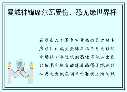 曼城神锋席尔瓦受伤，恐无缘世界杯